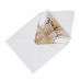 Vellum Paper Invitation Card Beautiful Invitation Wedding Card Laser Holiday Card